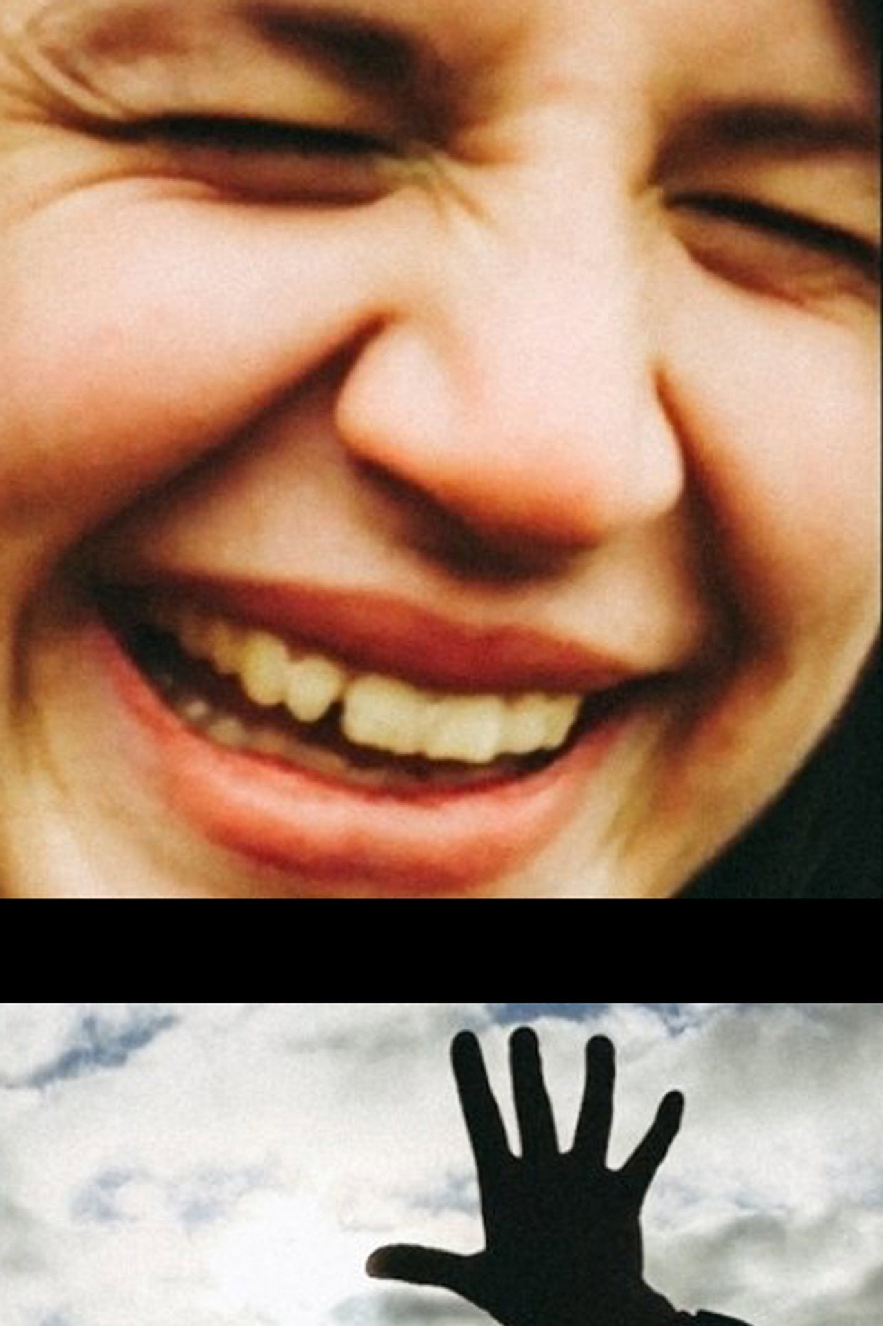 Кролики в свете фар filmaffisch