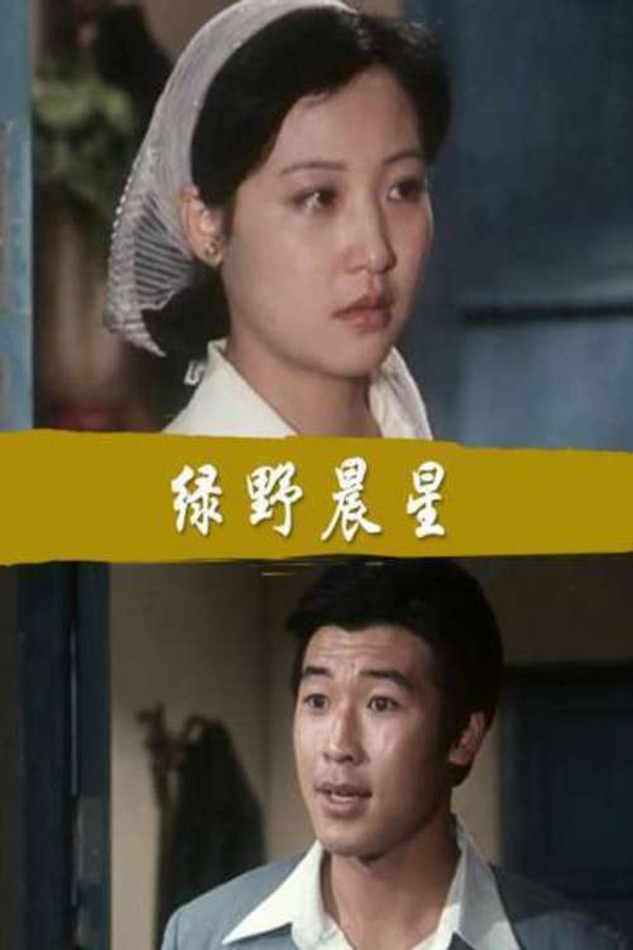 绿野晨星 Backdrop