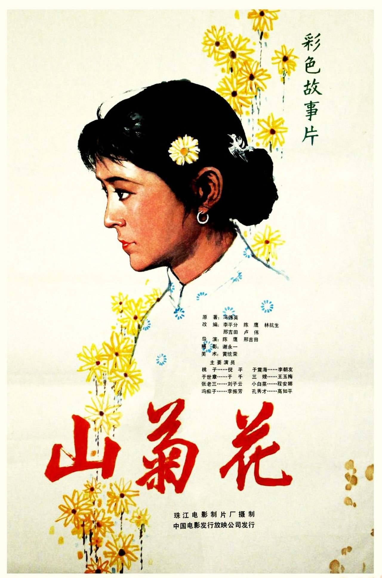 山菊花 山菊花