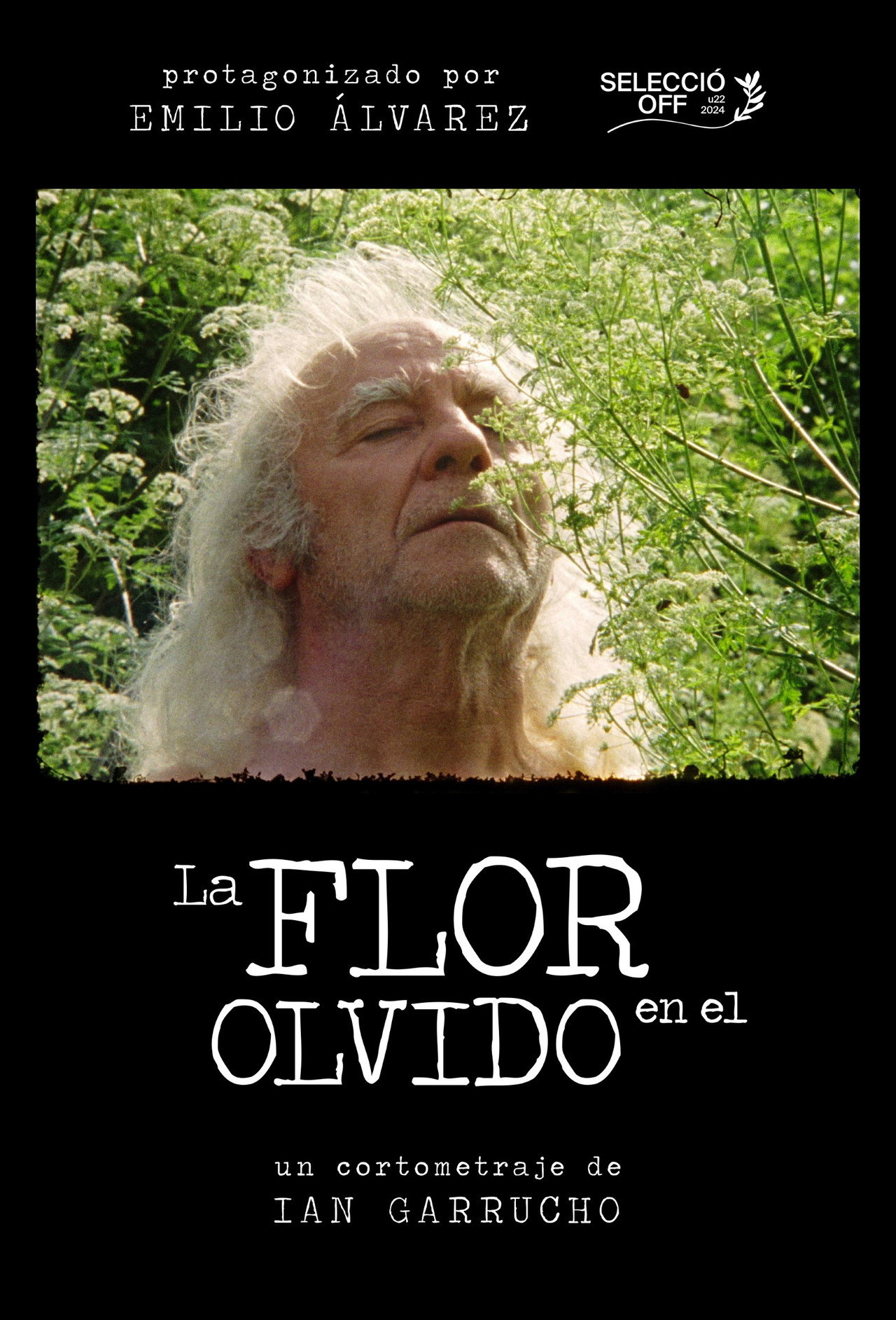 La flor en el olvido filmaffisch