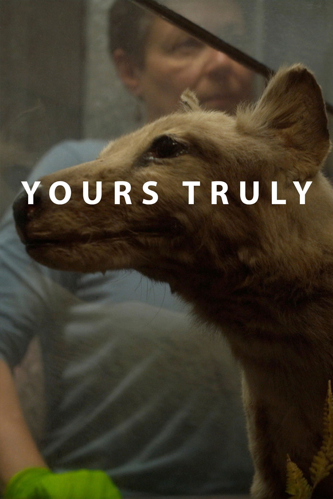 Yours Truly filmaffisch