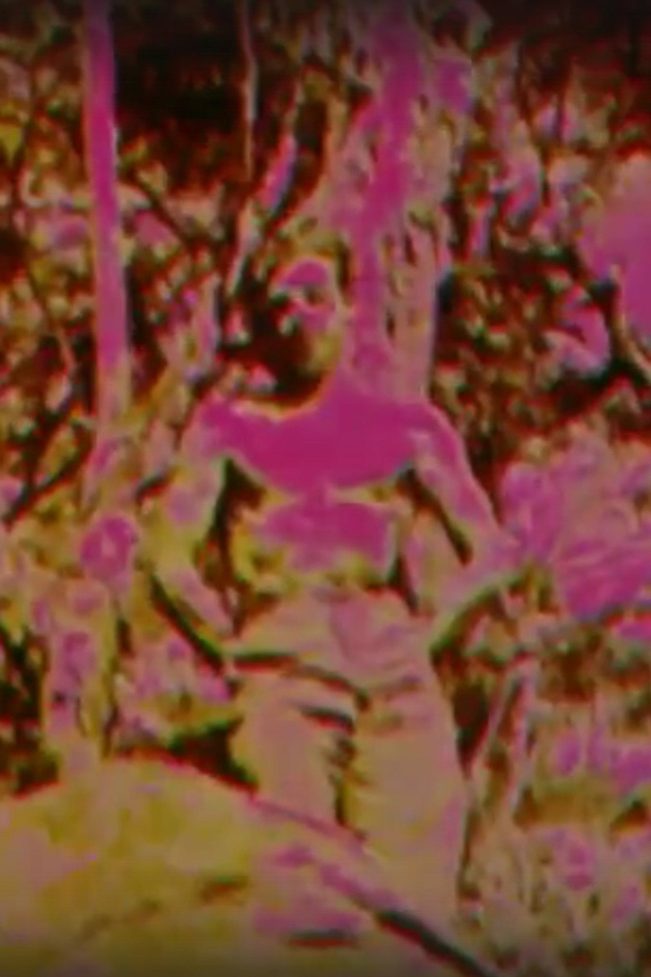 Album filmaffisch