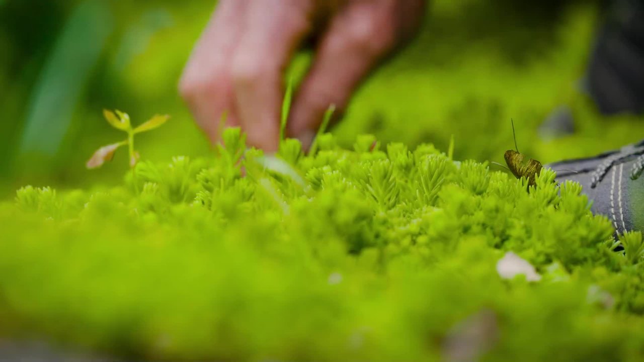 Natur im Garten - Season 26 Episode 7 : Episode 7