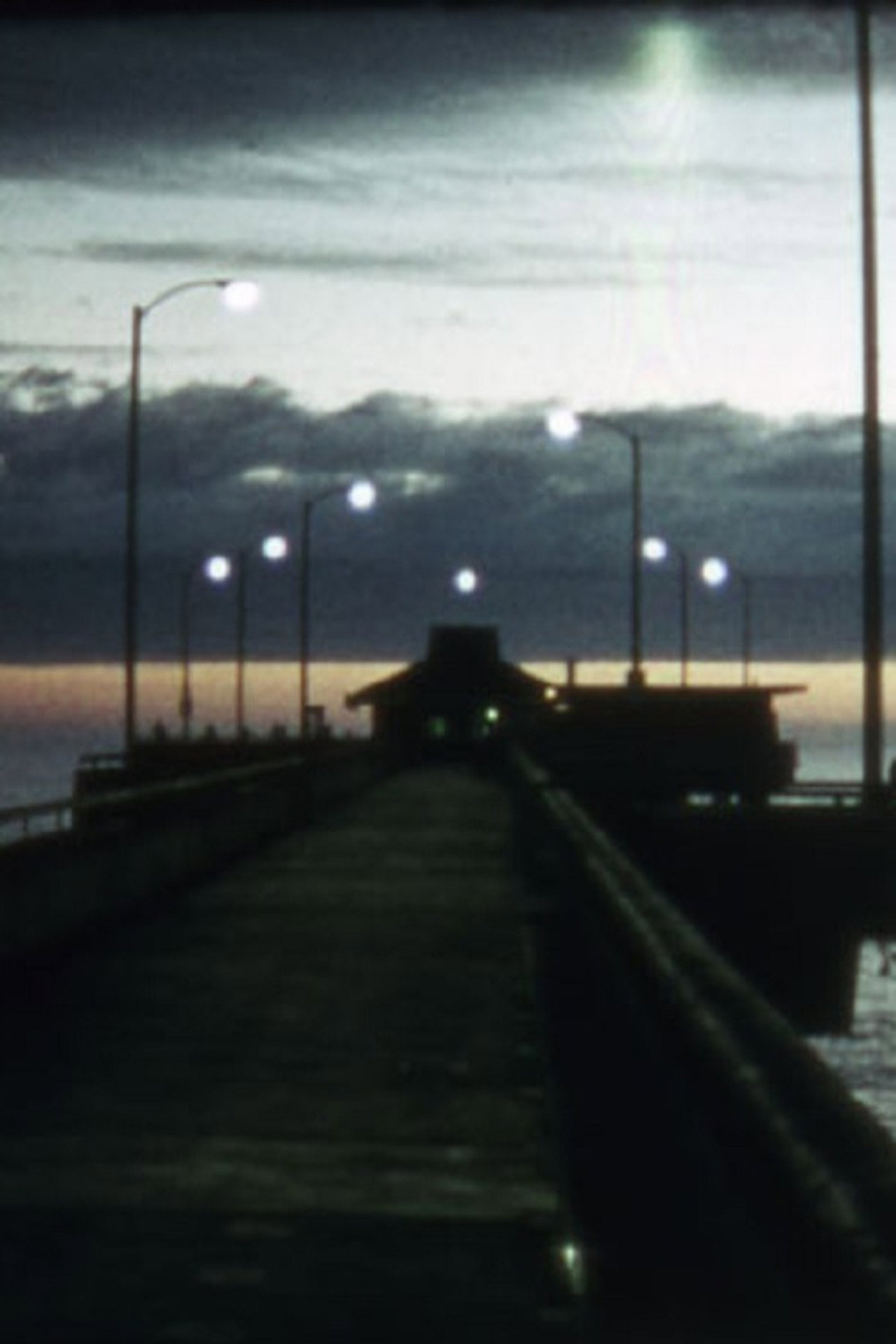 Venice Pier Backdrop