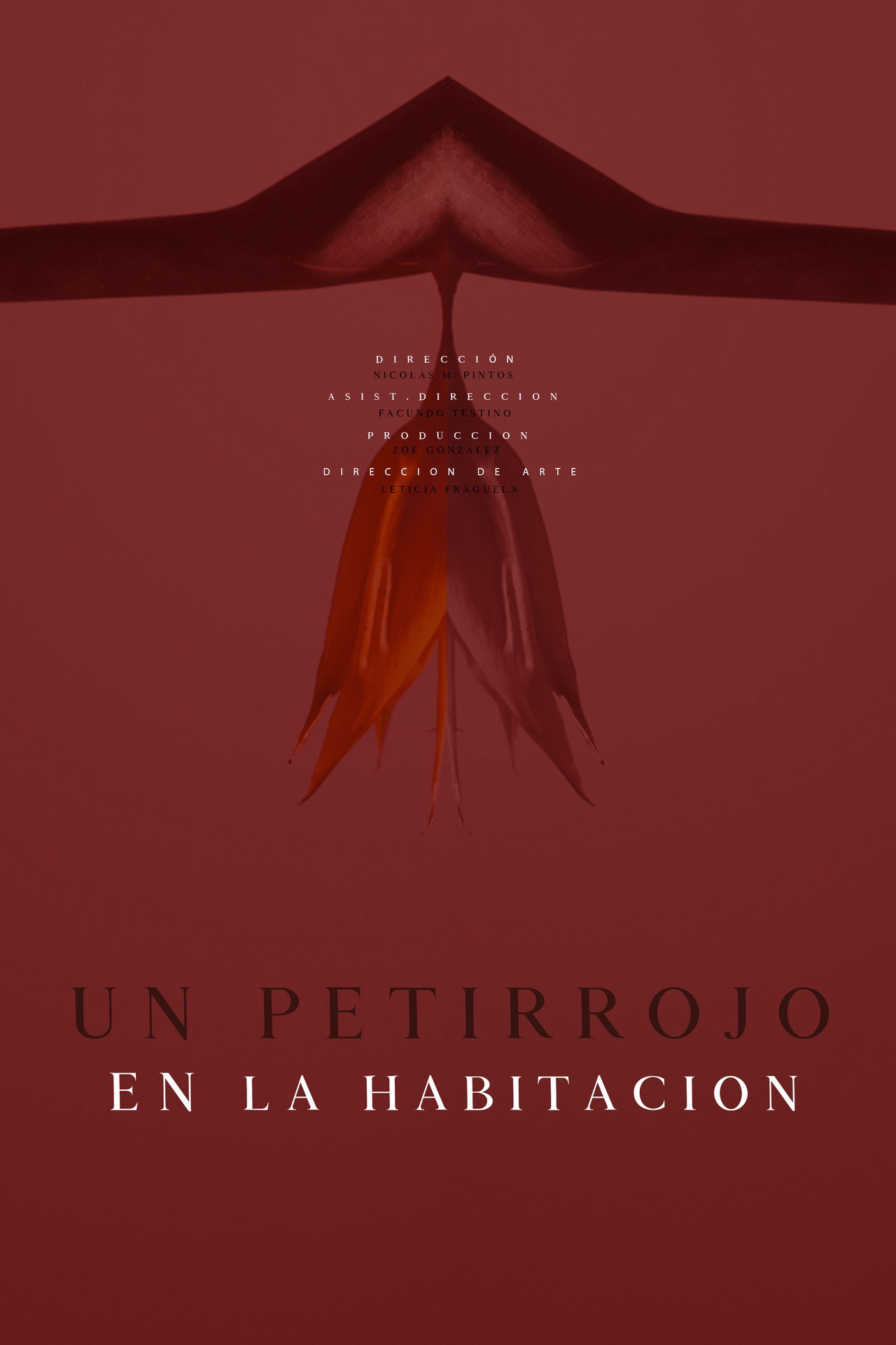 Un petirrojo en la habitación filmaffisch