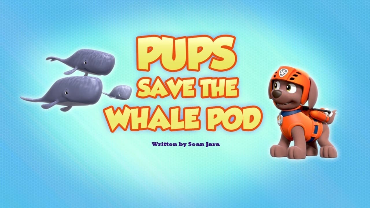 PAW Patrol - Season 7 Episode 36 : Pups Save the Whale Pod