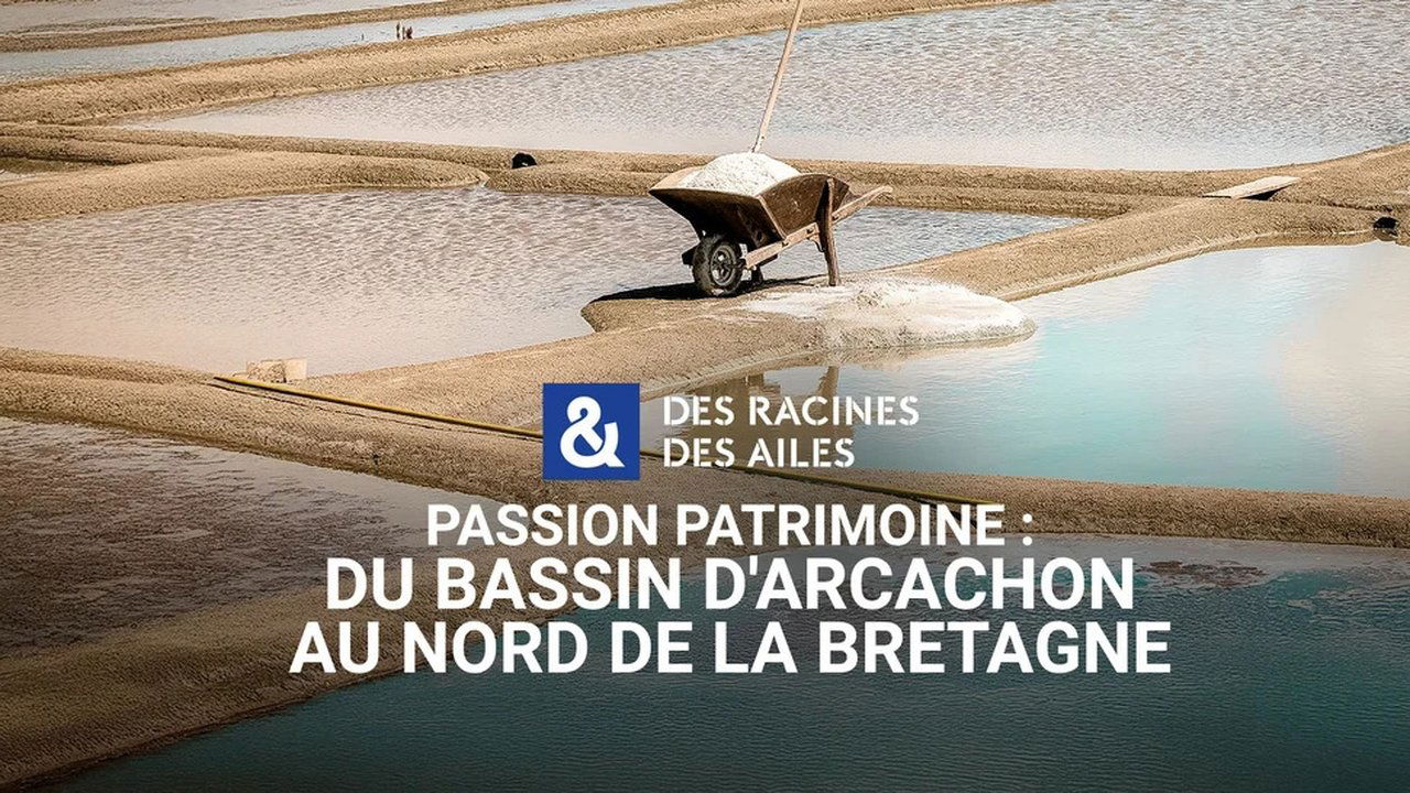 Des racines & des ailes - Season 28 Episode 8 : Episode 8