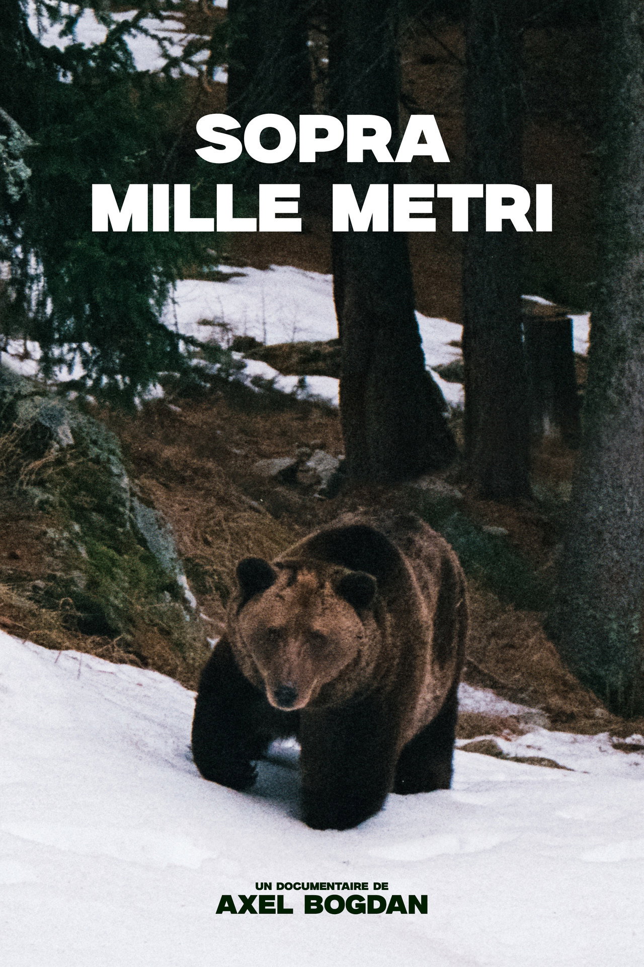 Sopra Mille Metri filmaffisch