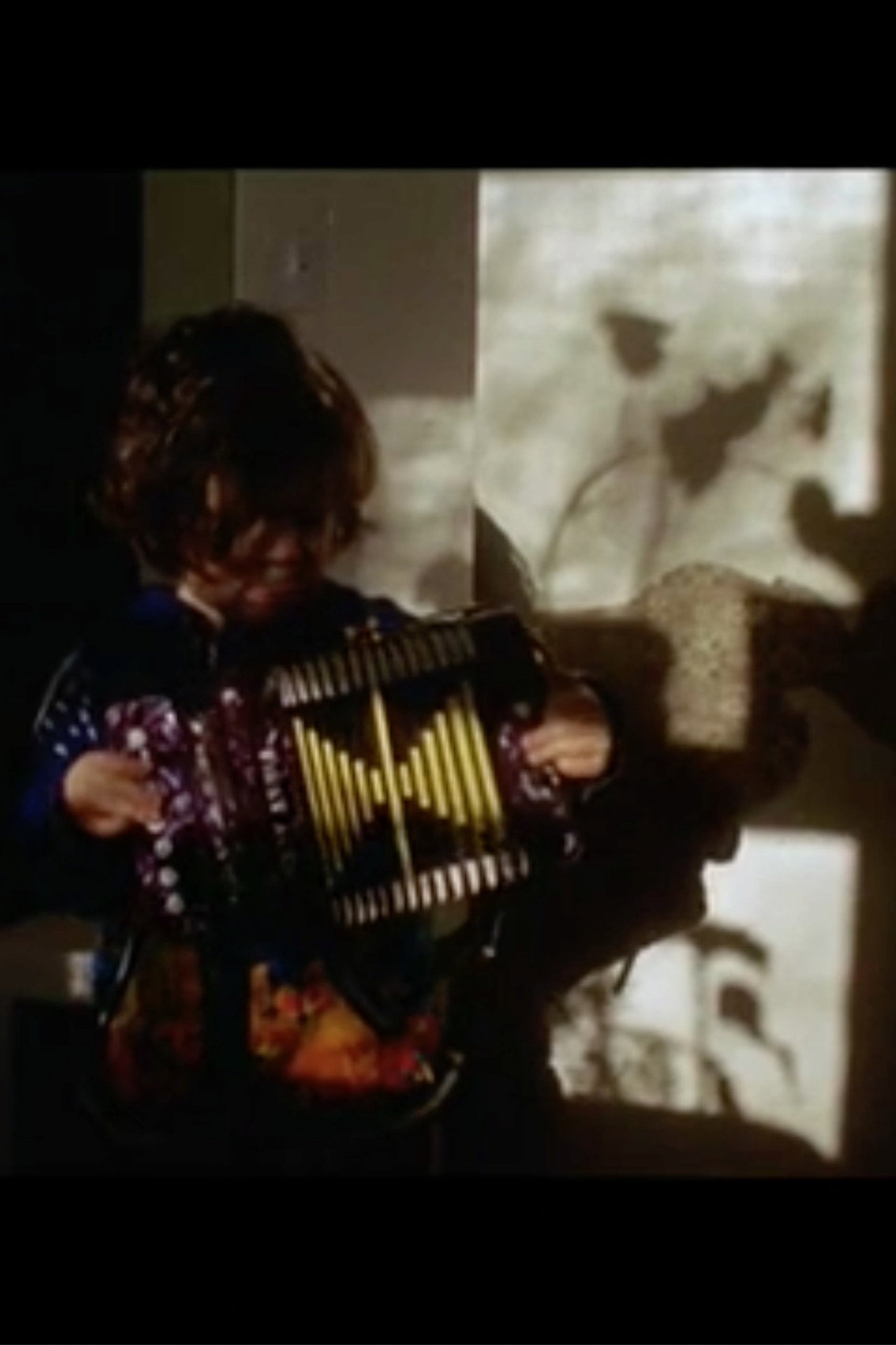 Animals Moving to the Sound of Drums filmaffisch