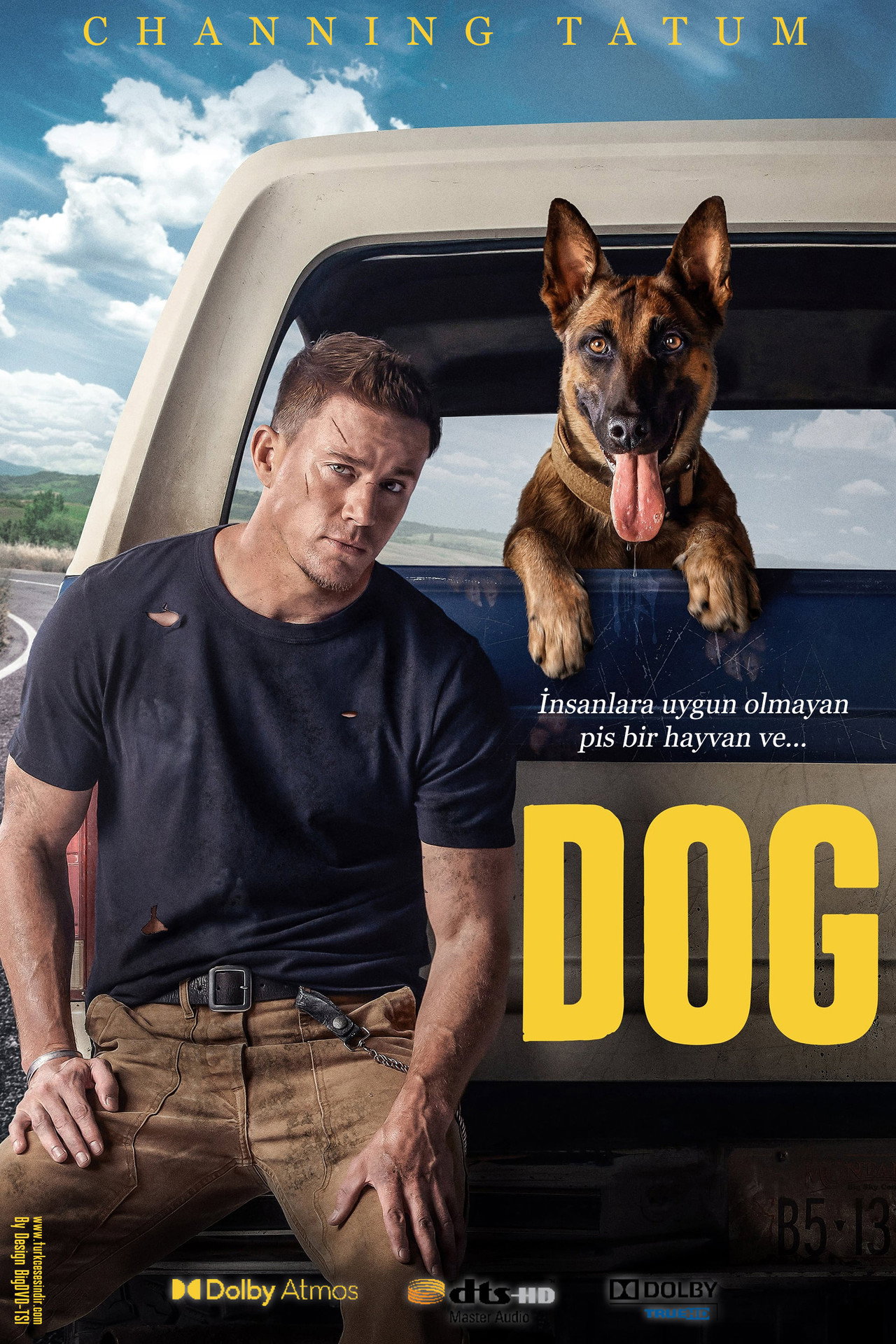 Köpek Poster