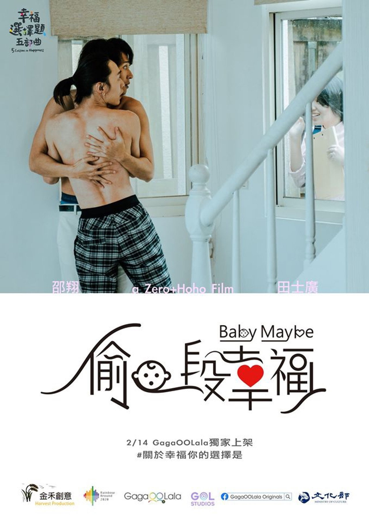 幸福選擇題五部曲 - 偷一段幸福 filmaffisch