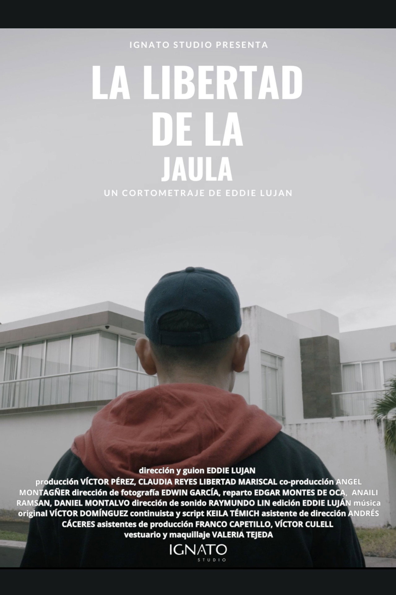 La Libertad de la Jaula poster