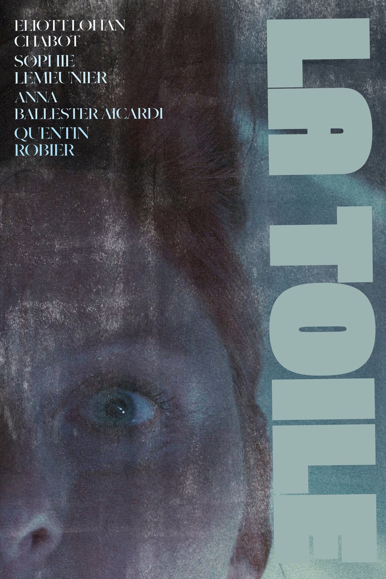 LA TOILE poster