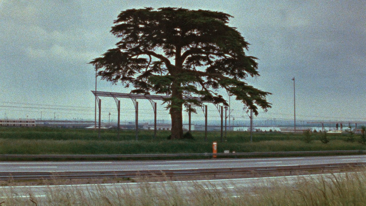 title image
