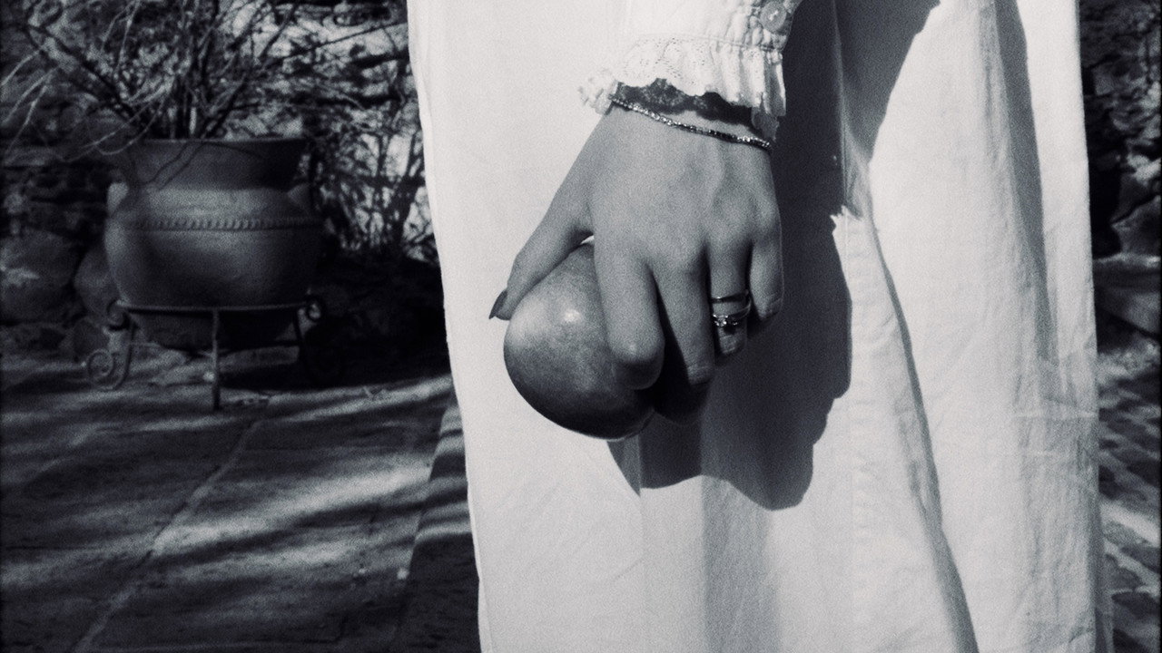«HELENA»