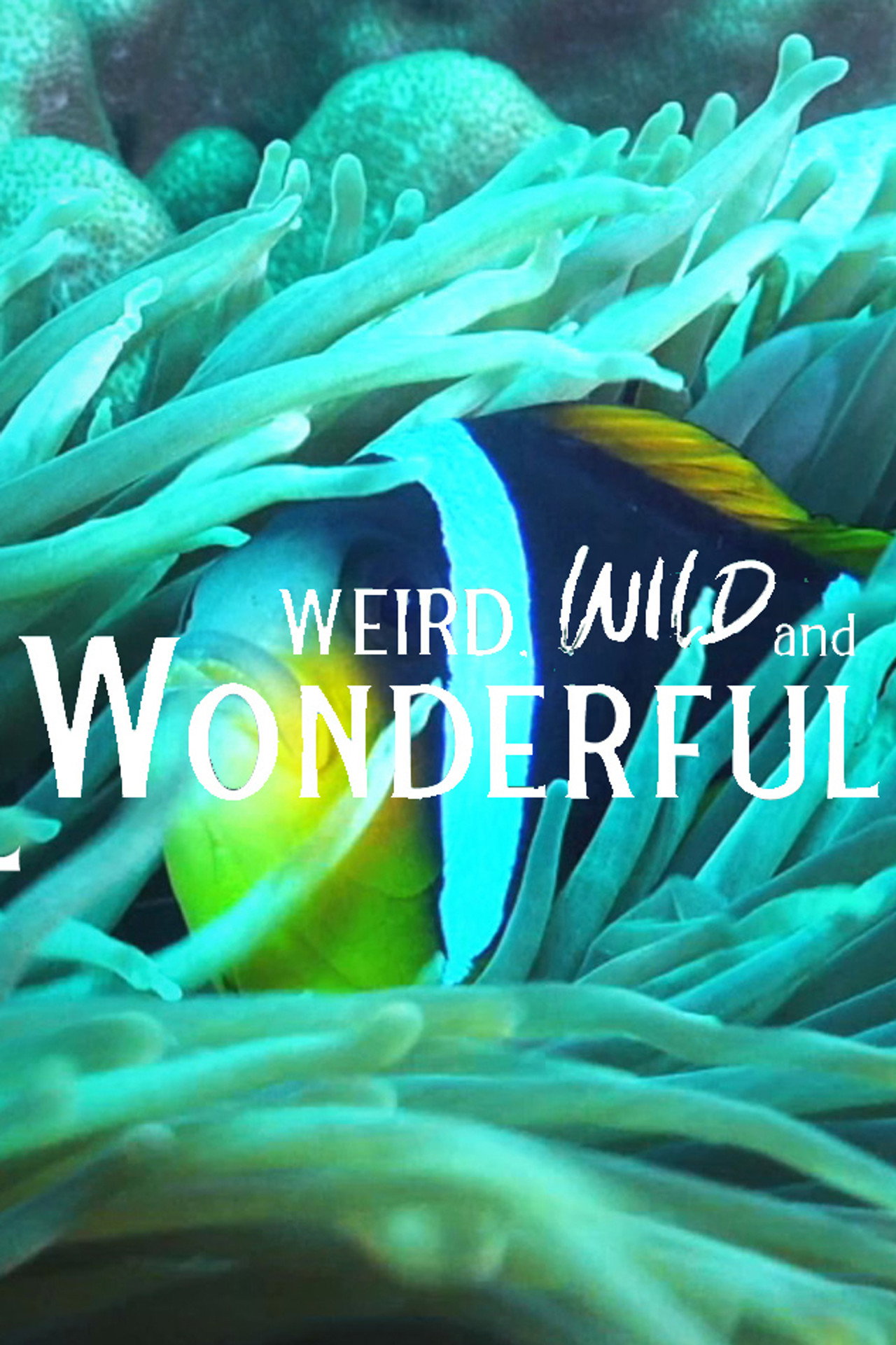 Weird, Wild, and Wonderful filmaffisch