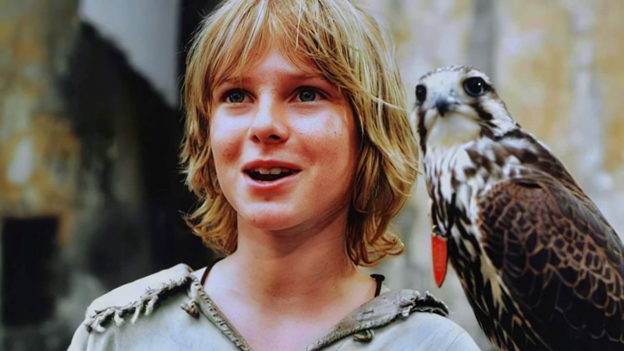 Tomáš and the Falcon King