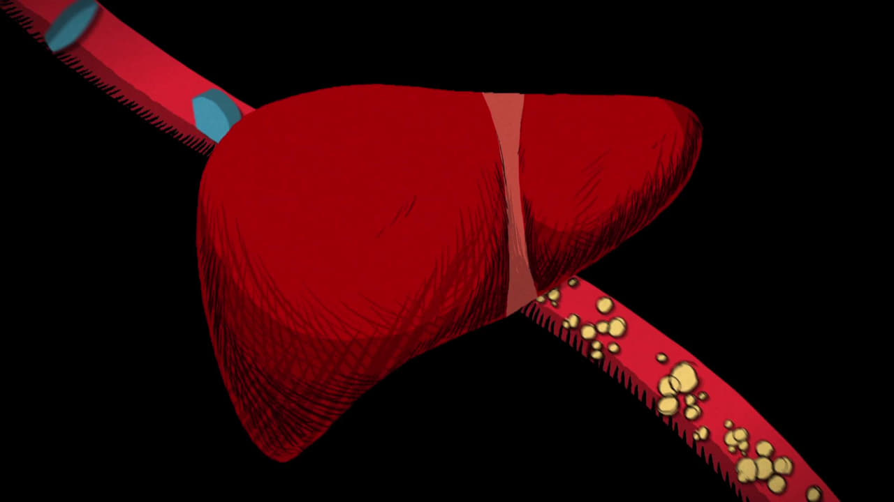 The Cholesterol Question background