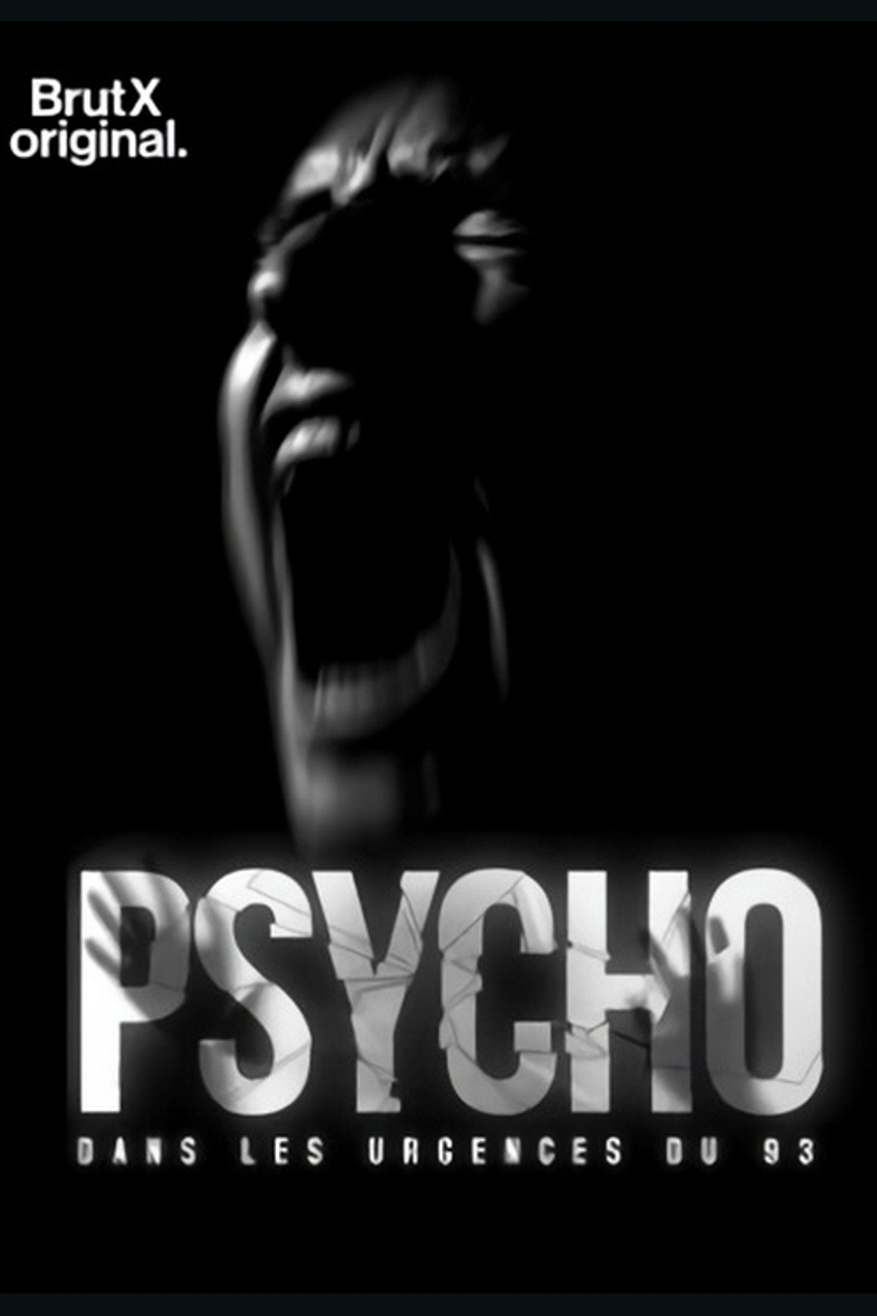 Psycho : dans les urgences du 93 filmaffisch
