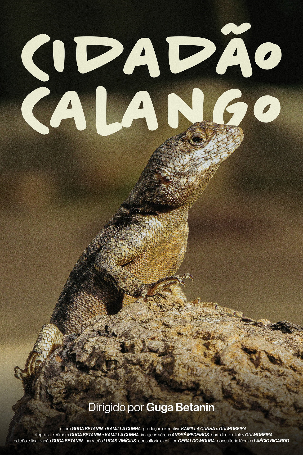 Cidadão Calango filmaffisch