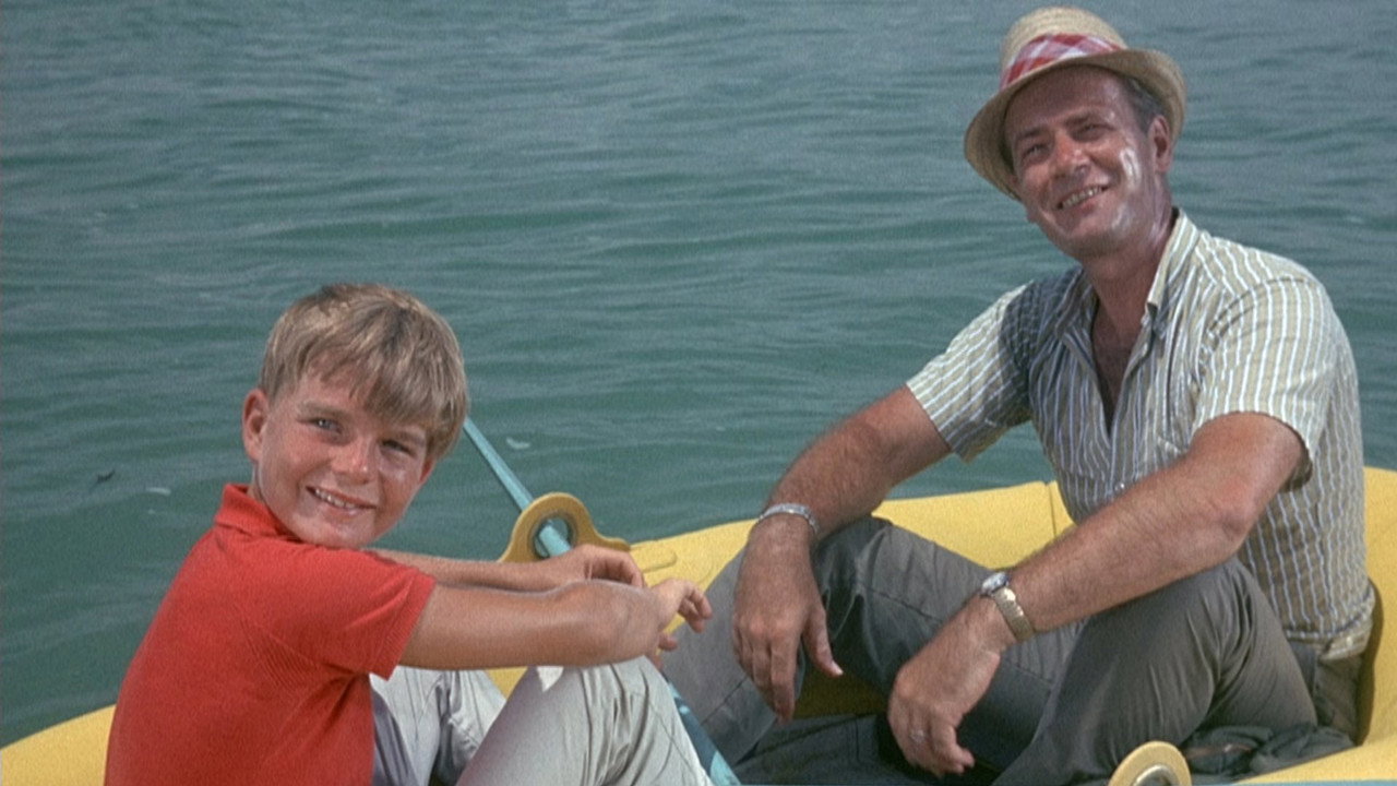 Flipper backdrop