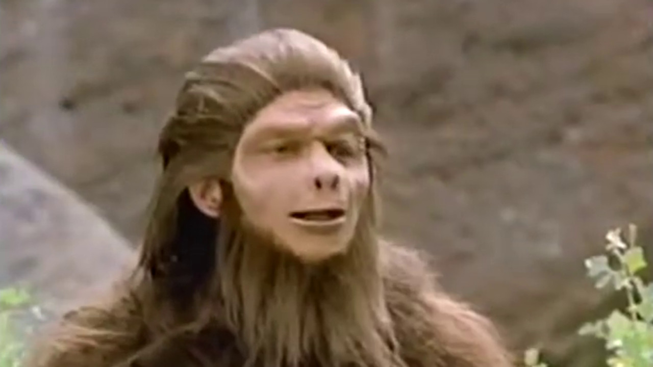 Time Warped backdrop