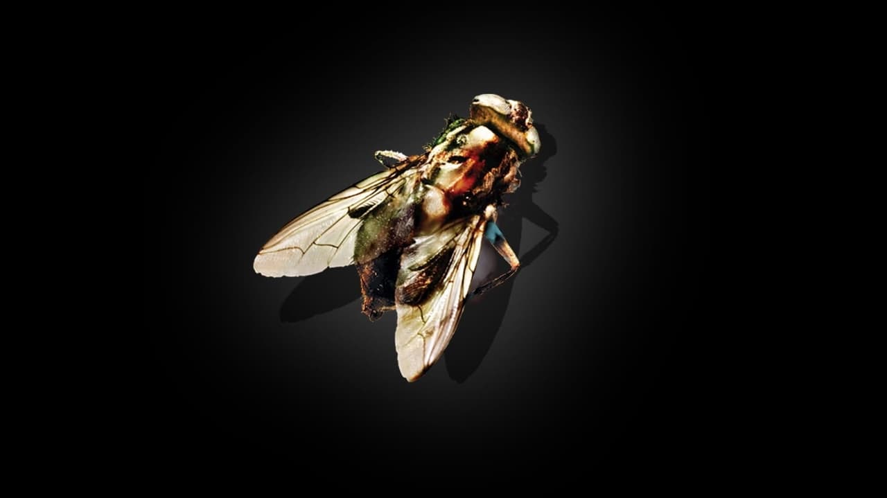 Artwork for The Fly