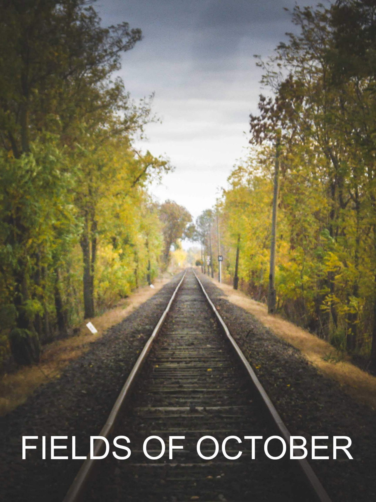 Fields of October – plakát 3