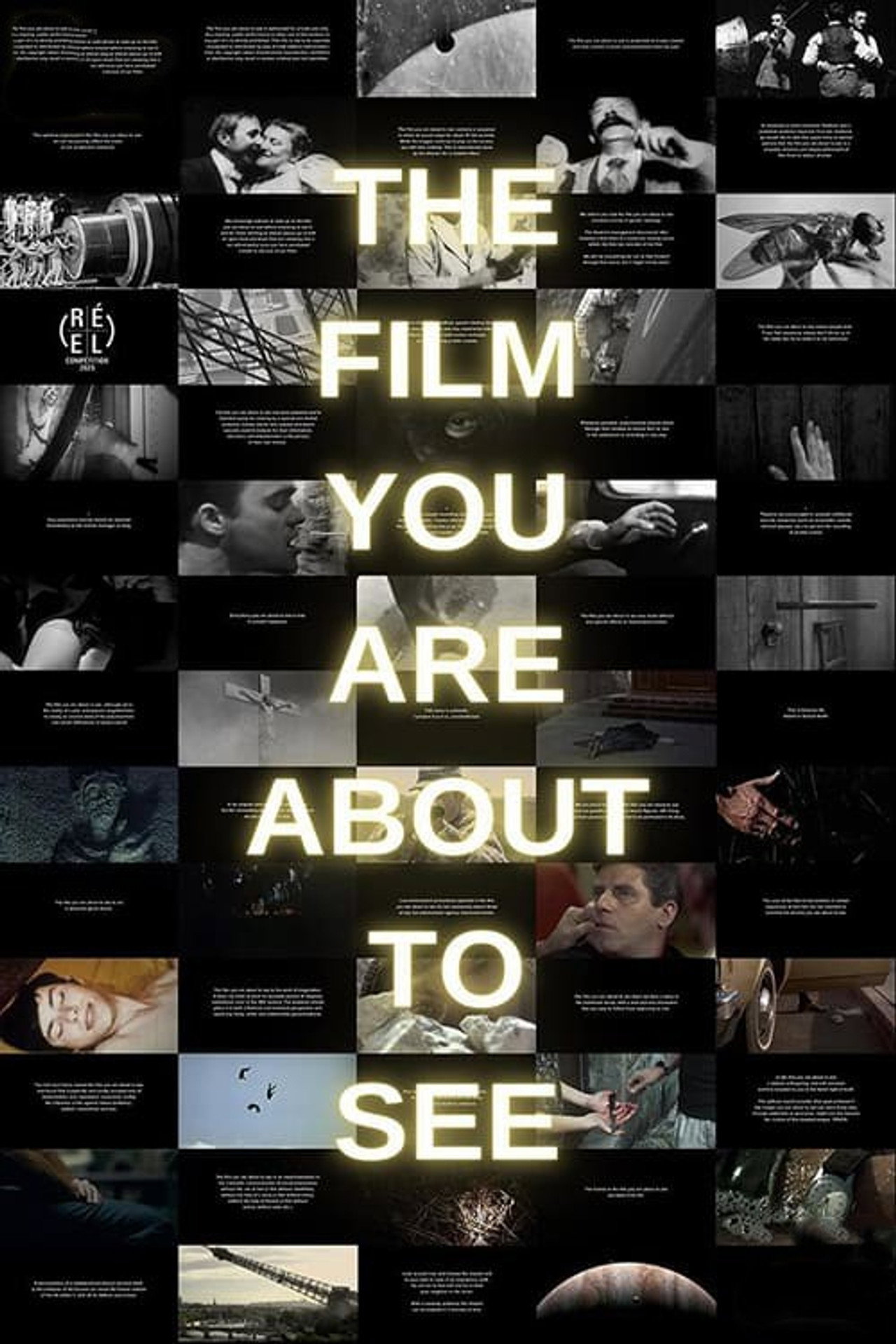 Le film que vous allez voir filmaffisch