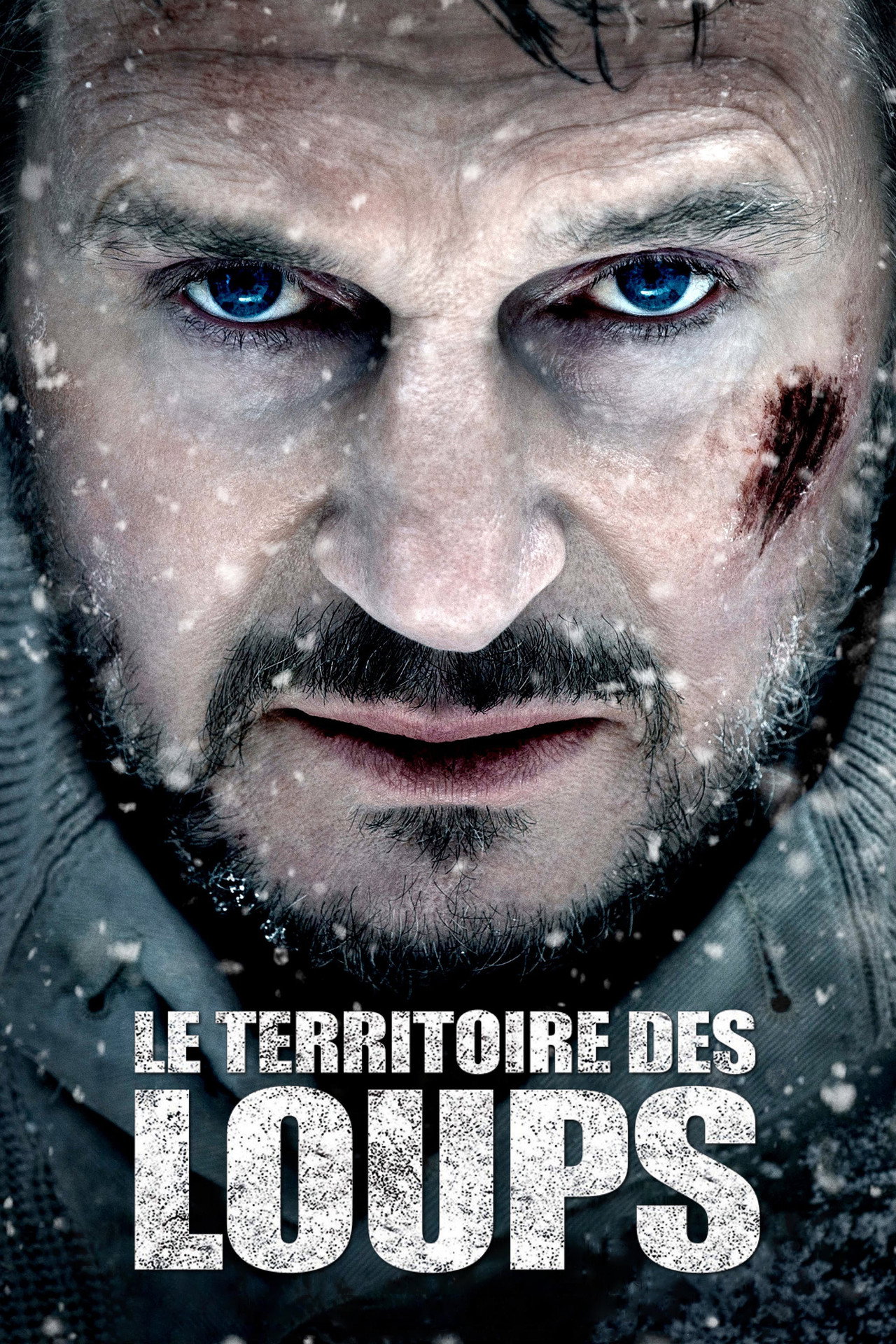 Le Territoire des loups poster
