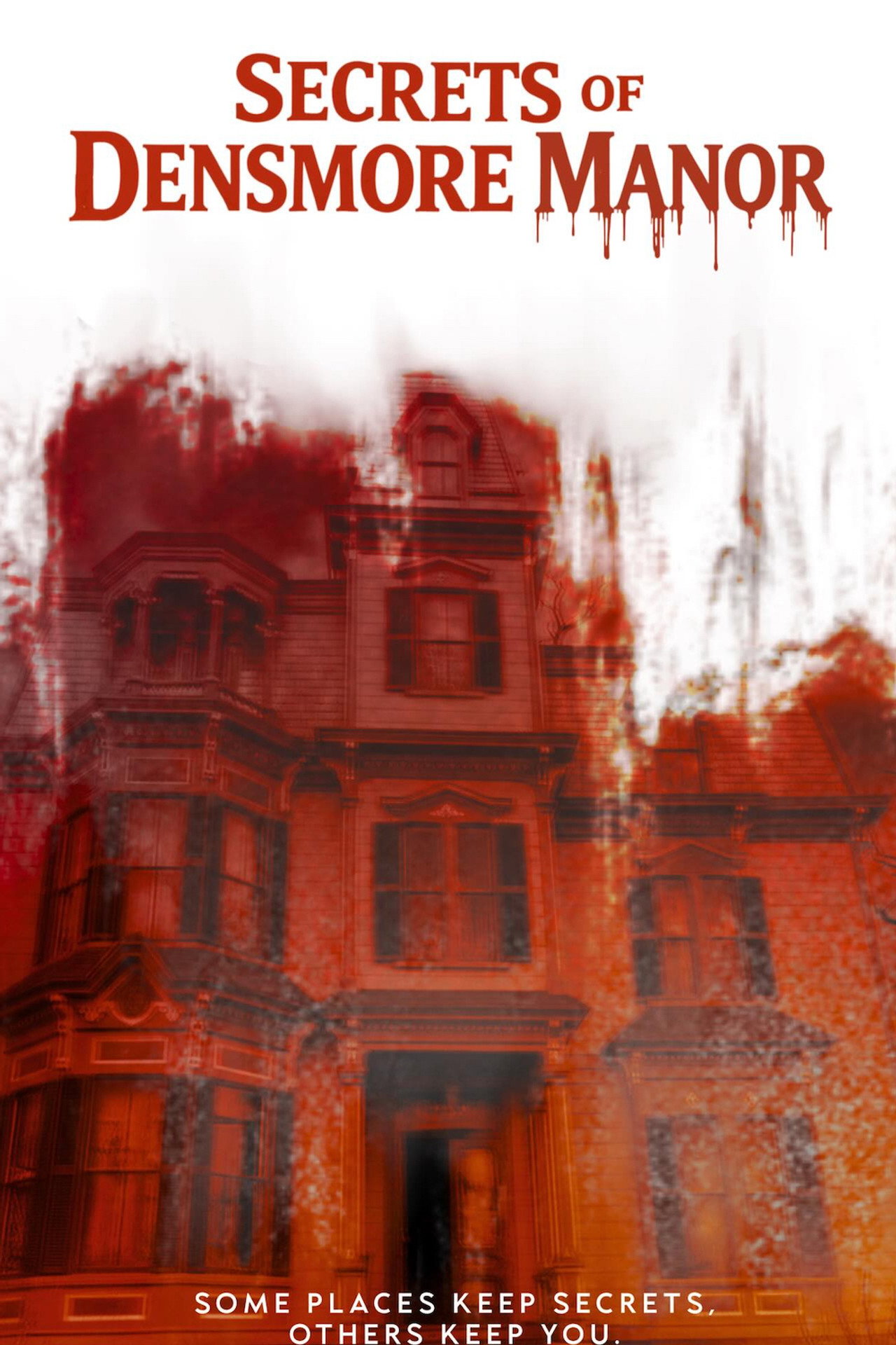 Secrets of Densmore Manor poster