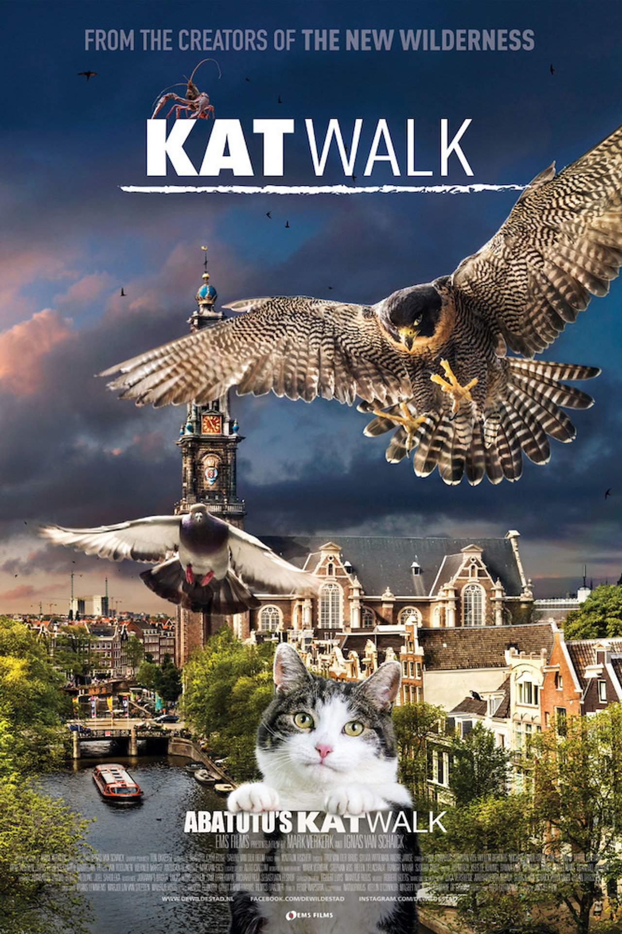 Katwalk filmaffisch