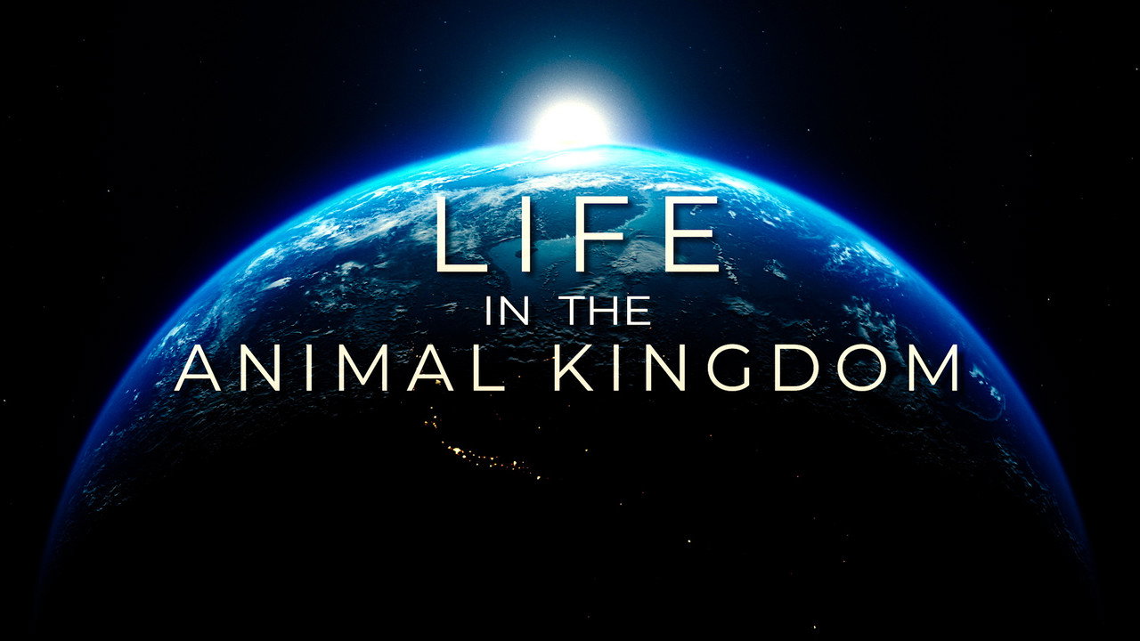 Backdrop for Life in the Animal Kingdom