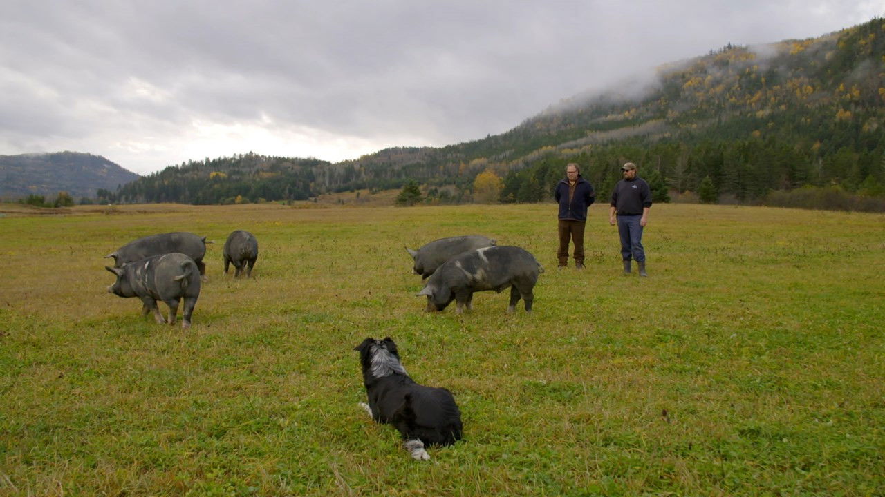 Un chef à la cabane — Épisode 7