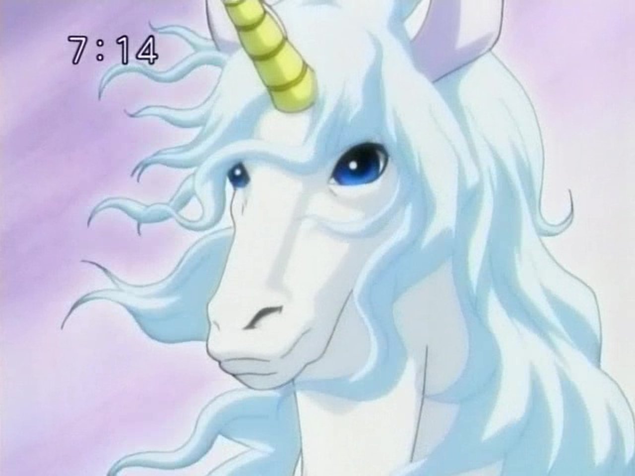 A question by the unicorn, the heart that is being tested