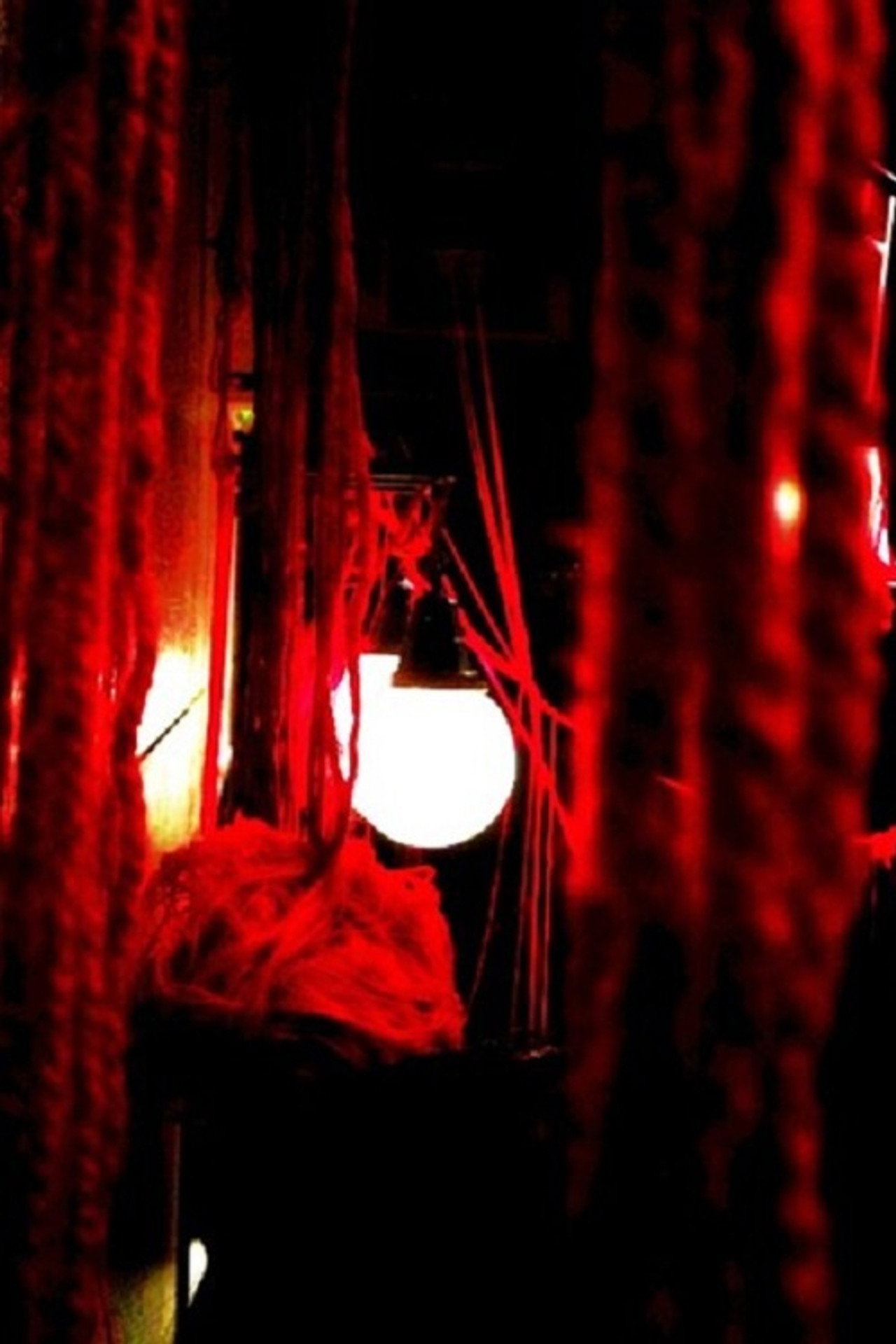 Ichiko Aoba: 0% Live at Shibuya WWW Backdrop