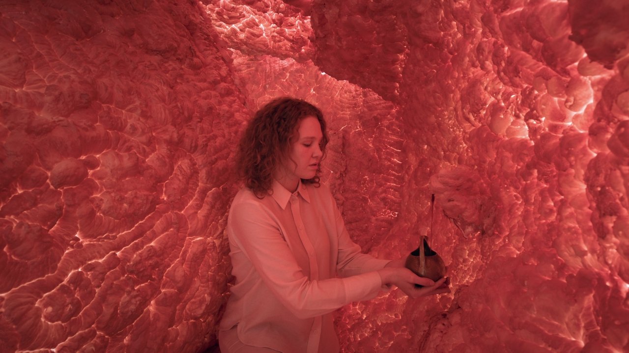 THE WOMAN WHOSE HEAD WAS AN ASTEROID THE WOMAN WHOSE HEAD WAS AN ASTEROID