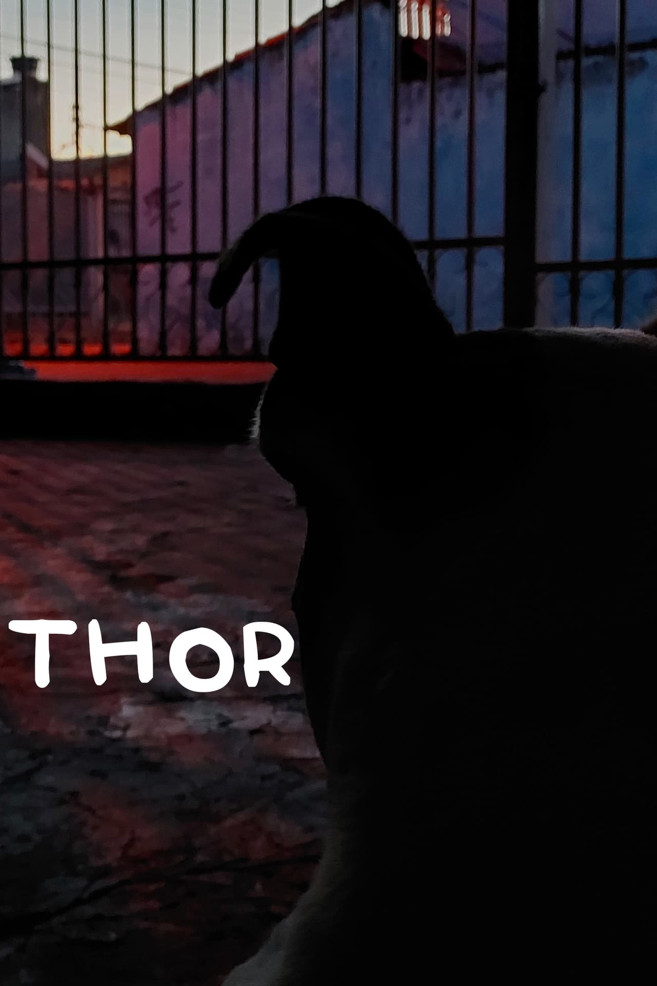Thor poster