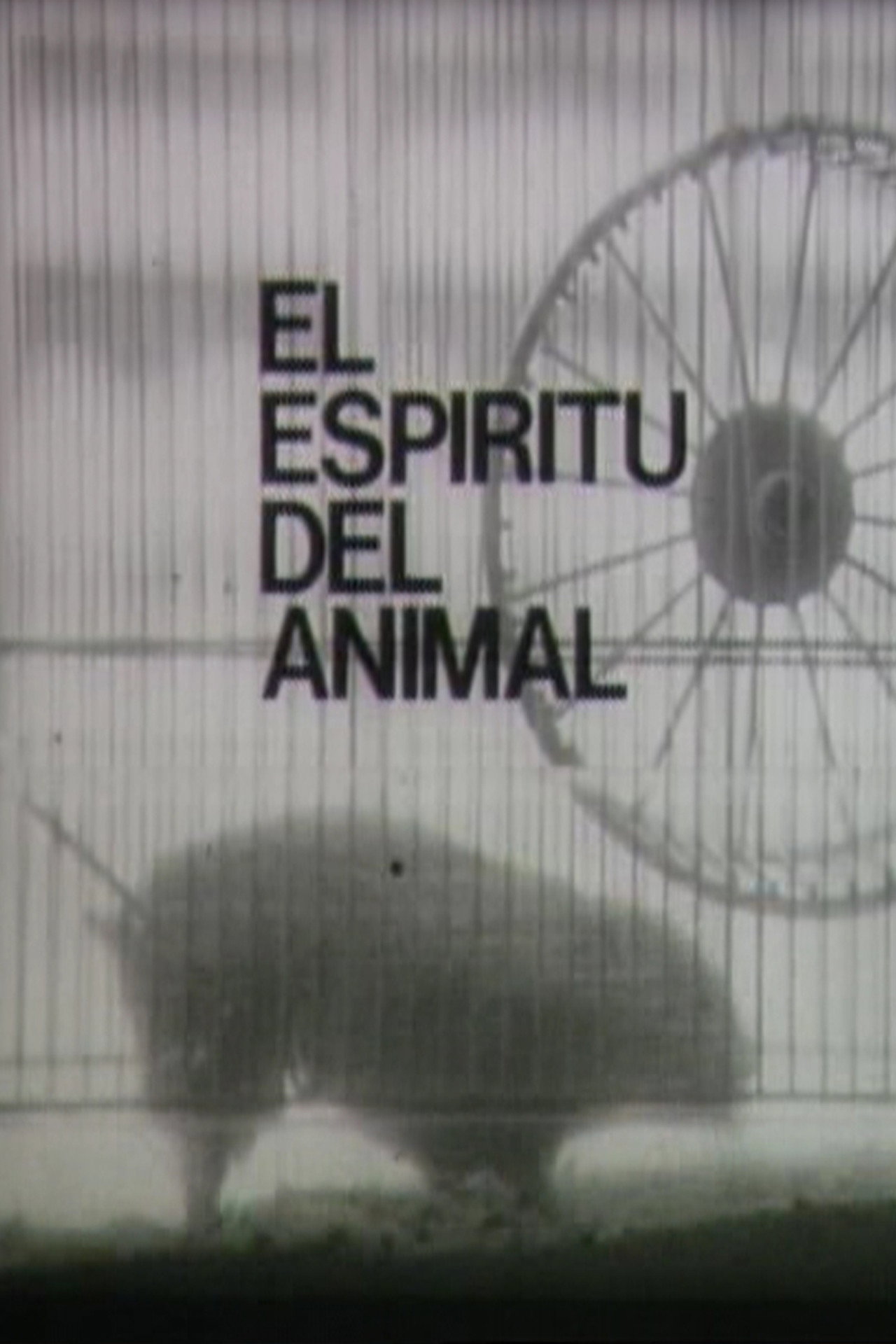 El espíritu del animal Backdrop