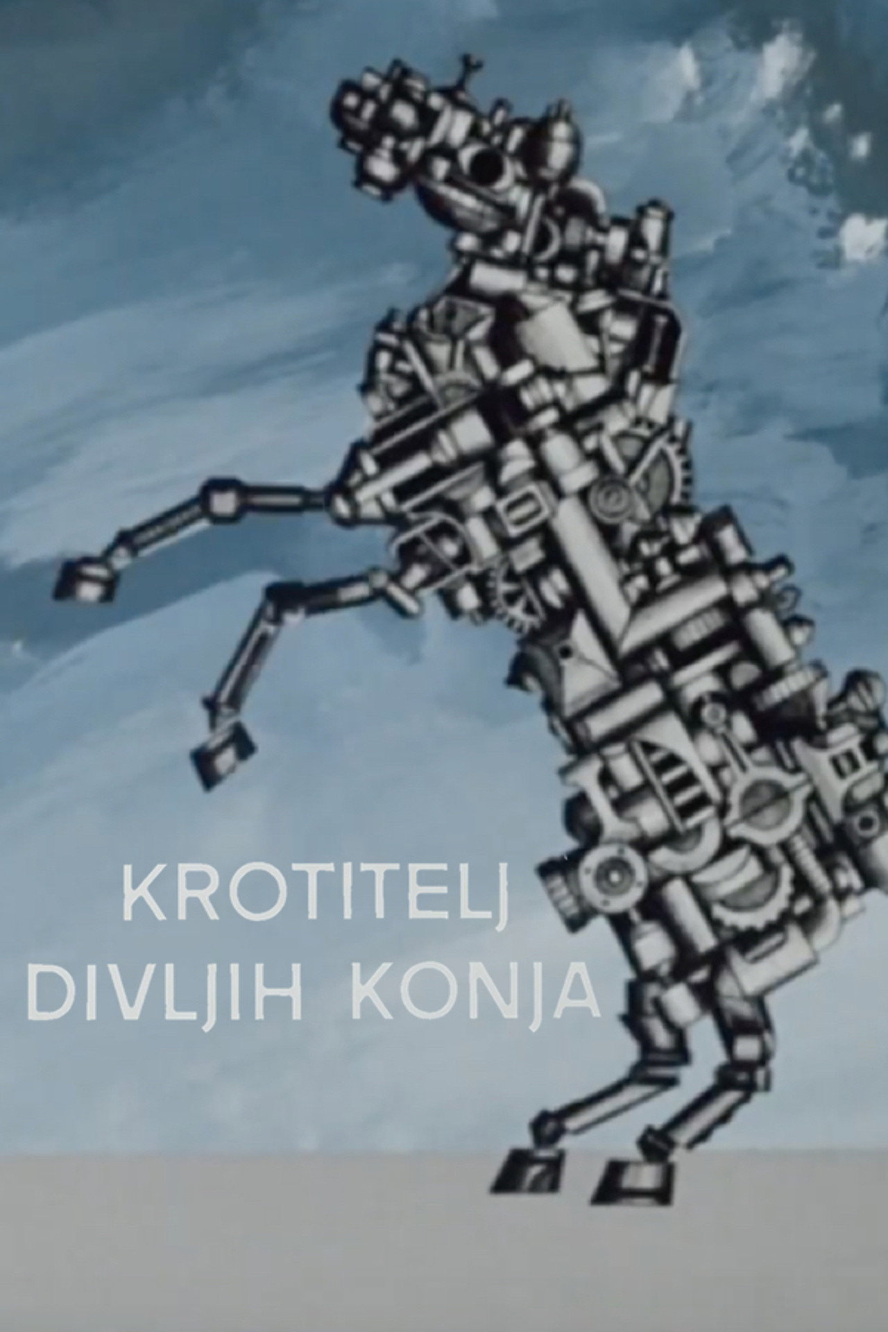 Krotitelj divljih konja filmaffisch