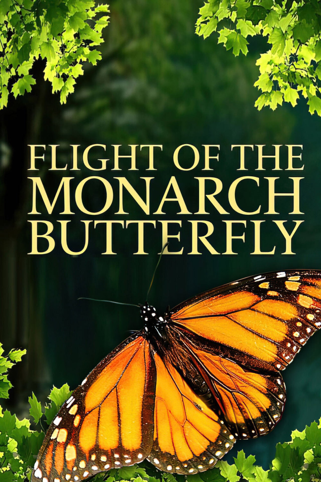 Flight of the Monarch Butterfly filmaffisch