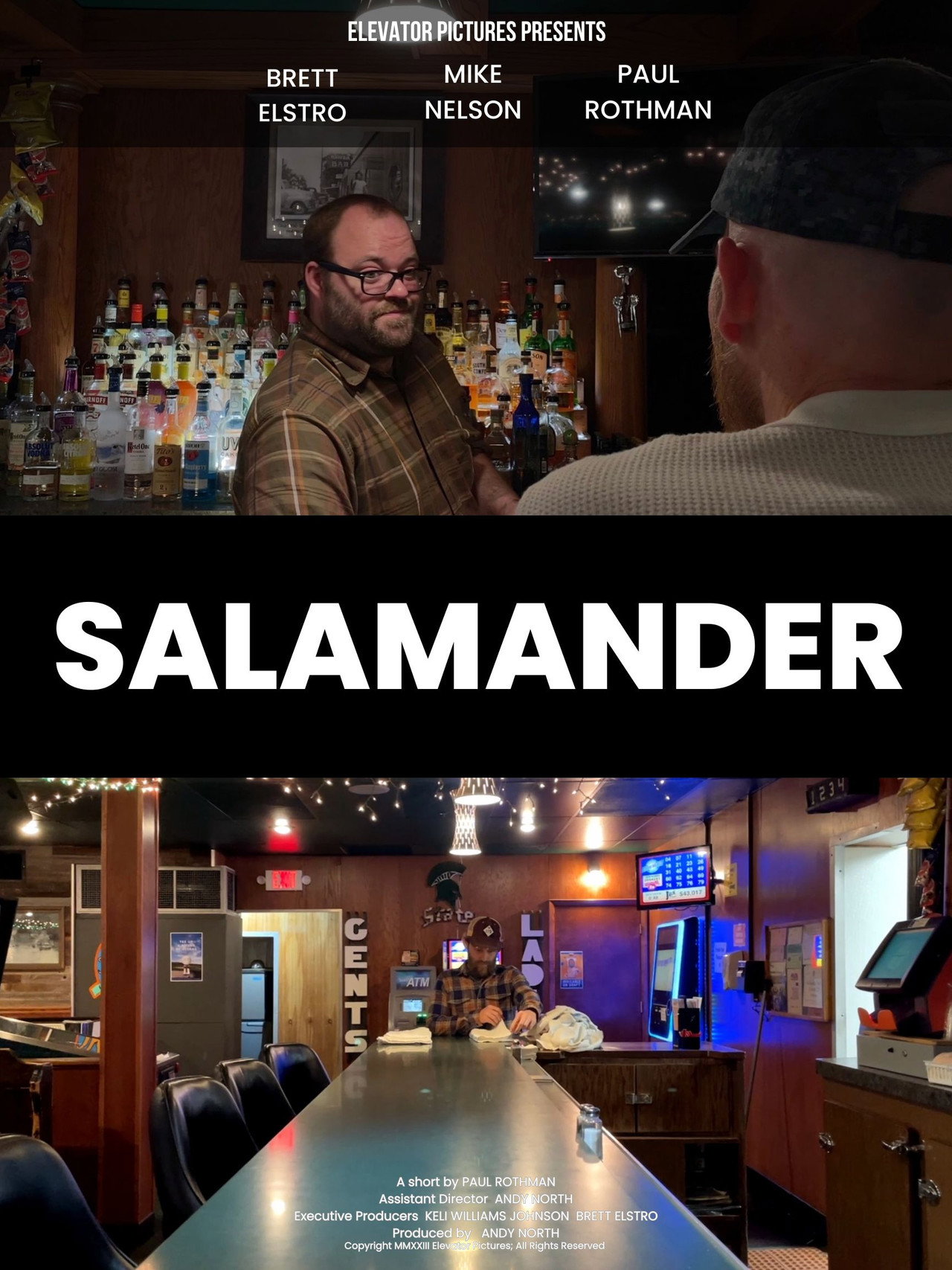 Salamander poster