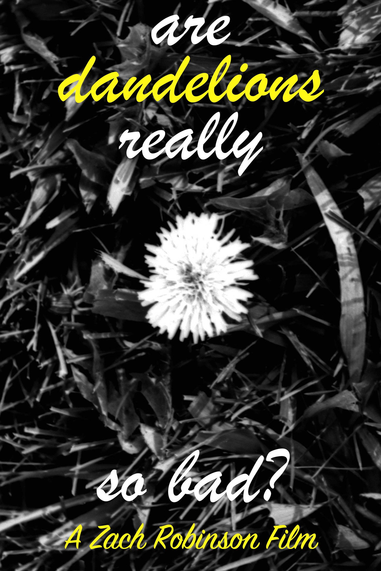 are dandelions really so bad? filmaffisch