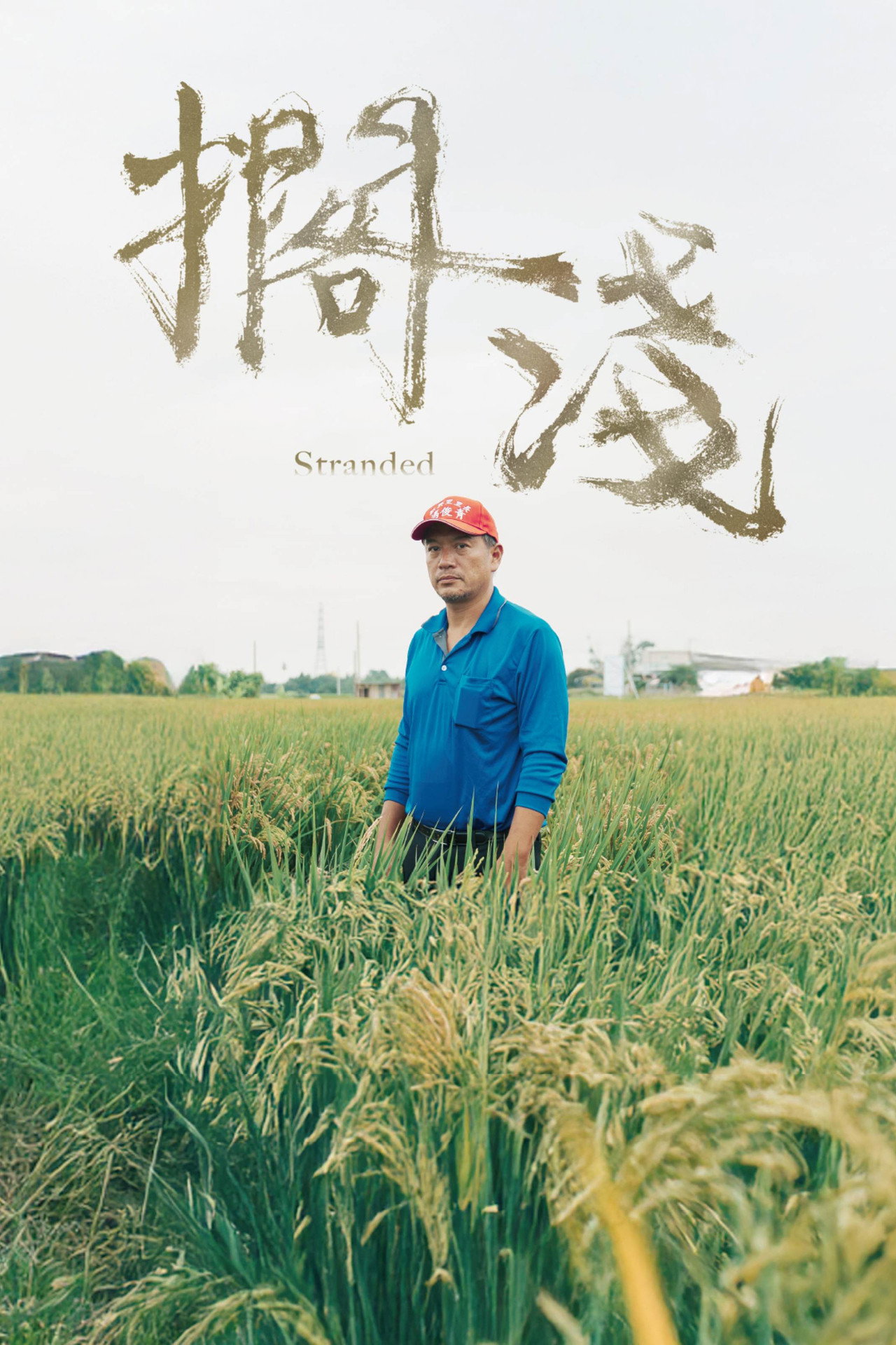 擱淺 filmaffisch