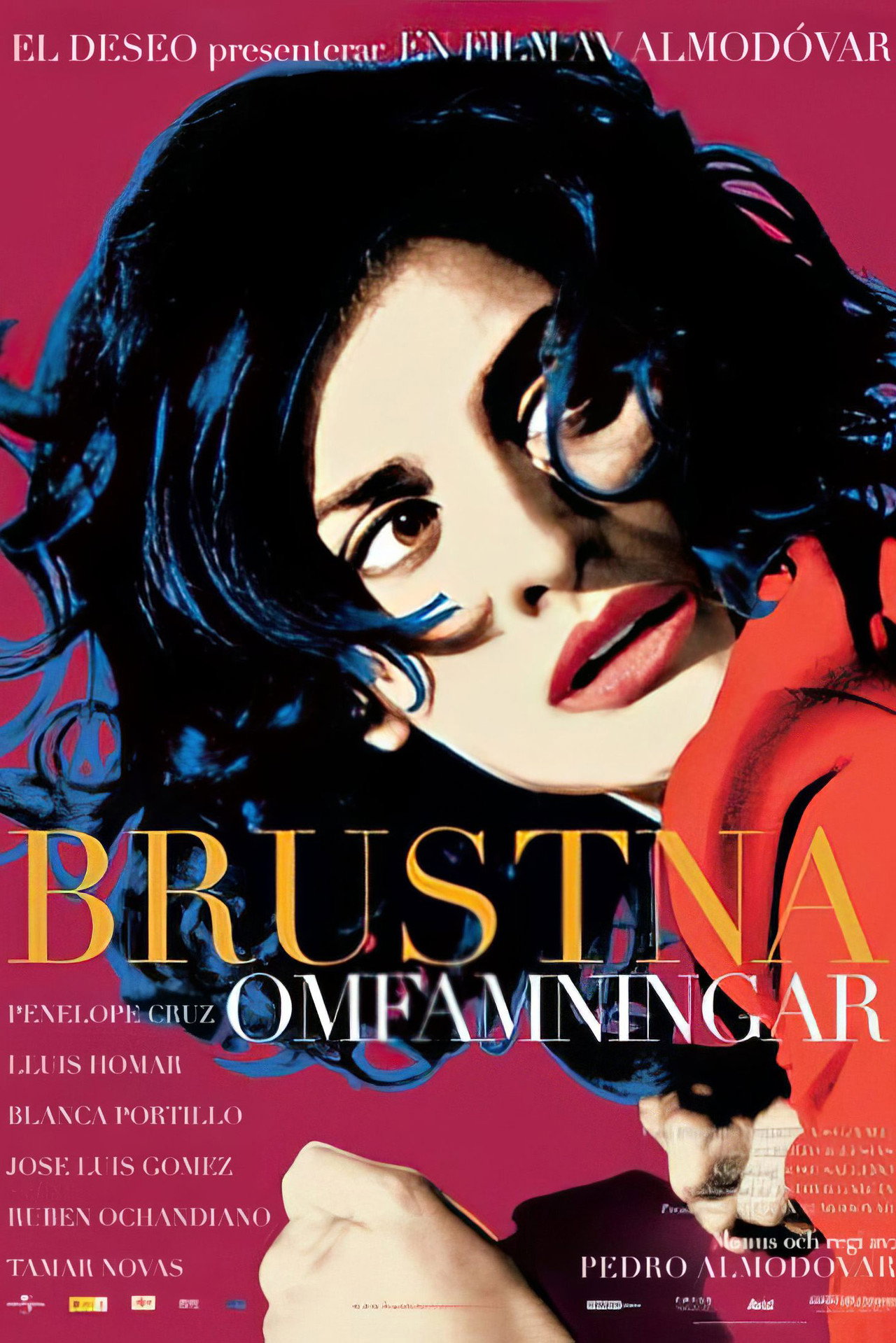 Brustna omfamningar filmaffisch
