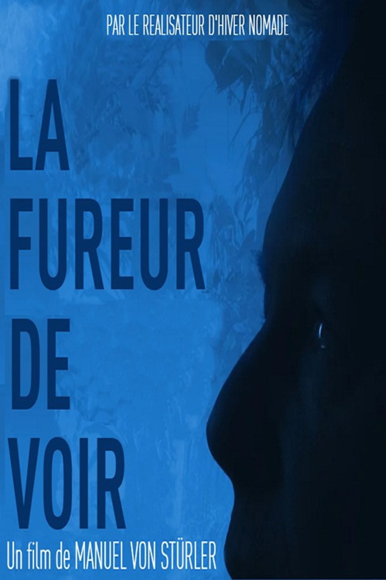 La fureur de voir filmaffisch
