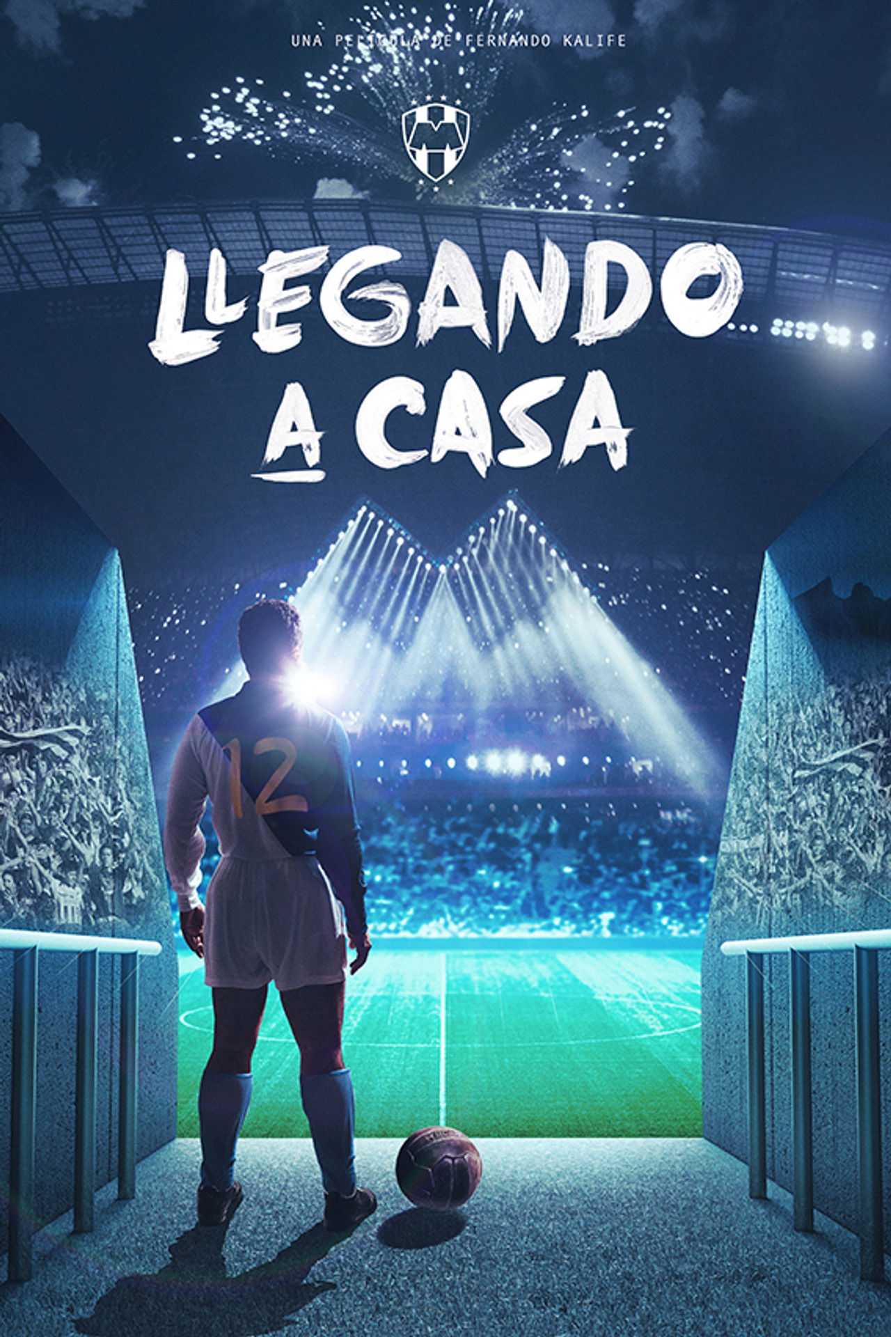 Llegando a casa poster