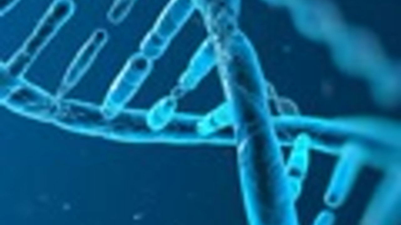 传奇故事 — Épisode 33