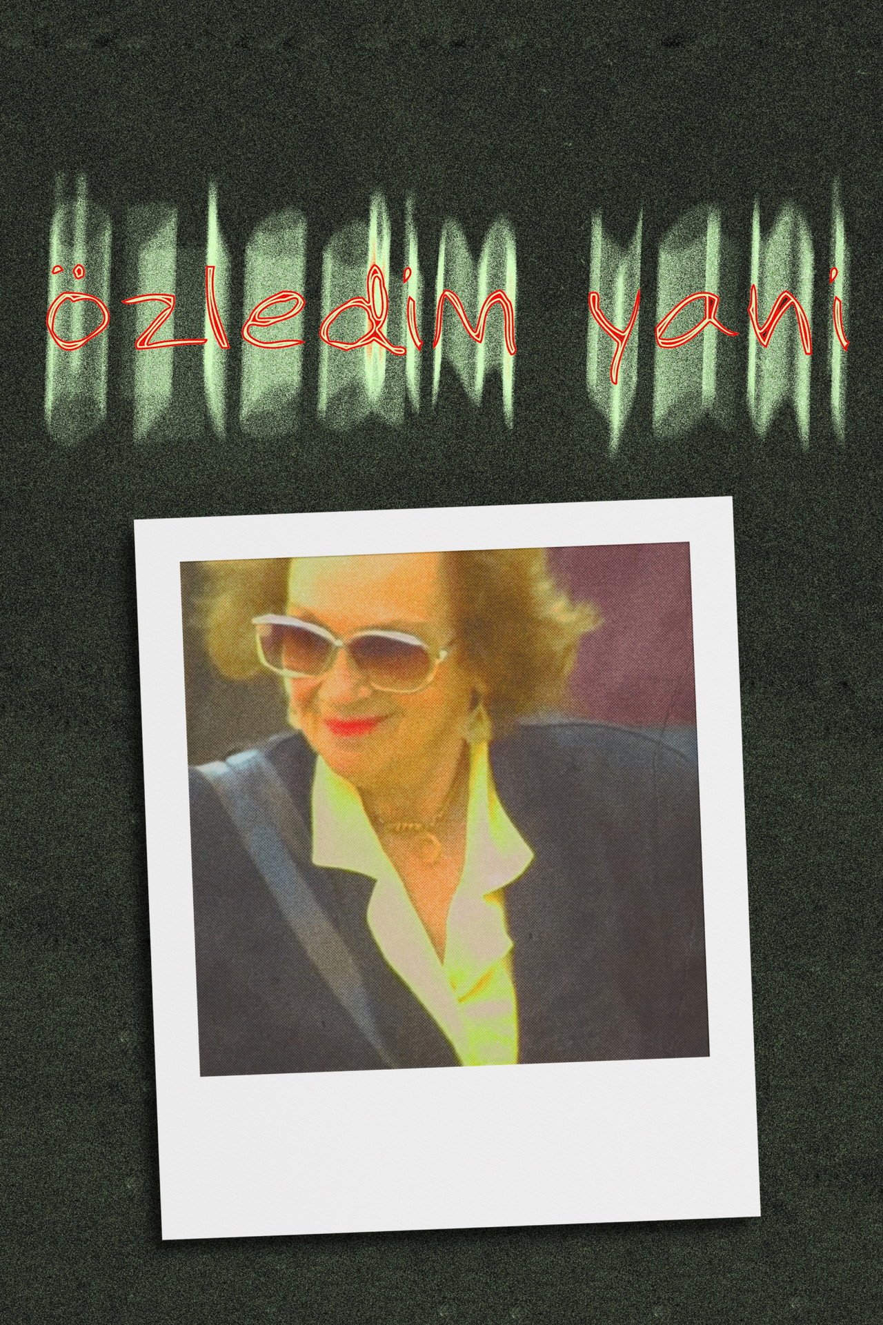 I Miss (The Istanbul I Don't Remember) poster