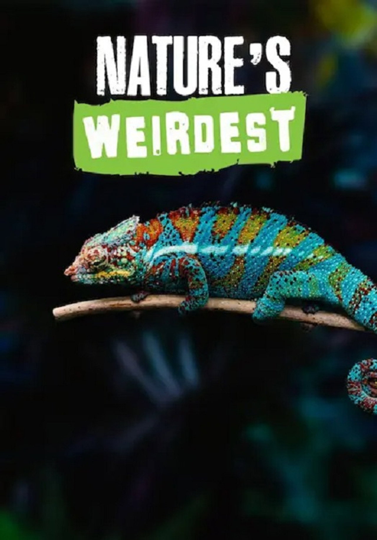 Nature's Weirdest Backdrop
